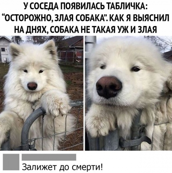Очередная подборка юморных картинок