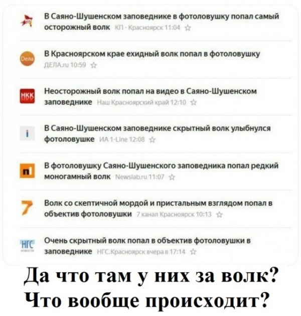 Смешные комменты из социальных сетей