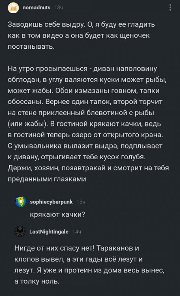 Смешные комменты из социальных сетей