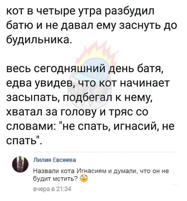 Смешные комменты из социальных сетей