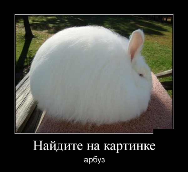 Подборка свежих демов