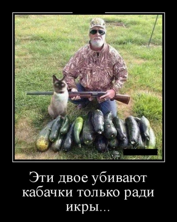 Подборка свежих демов