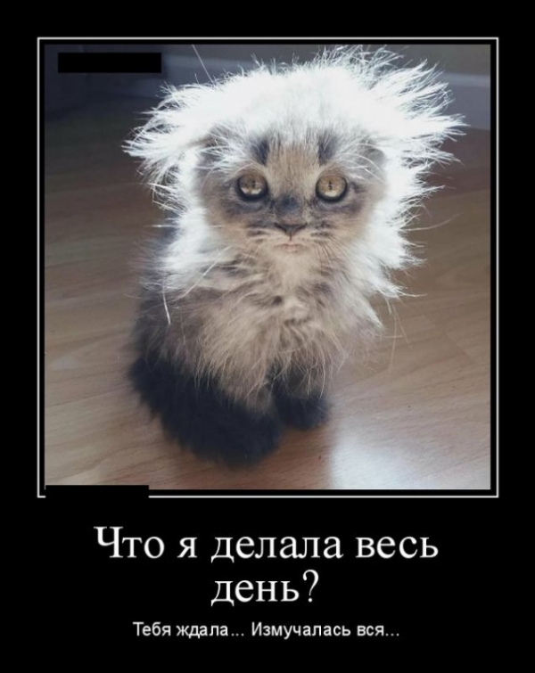 Подборка свежих демов
