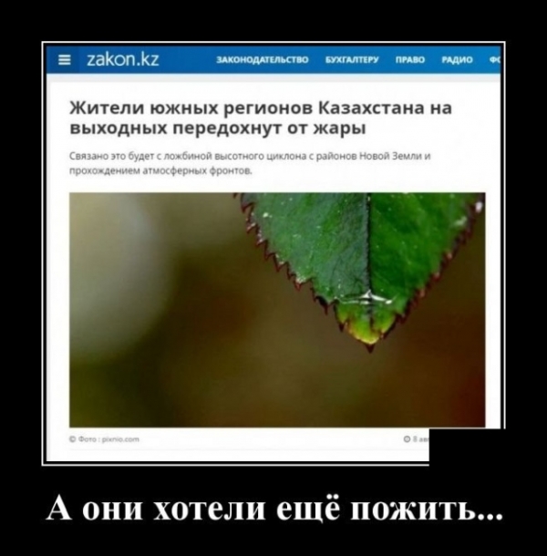 Подборка свежих демов