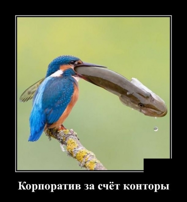 Подборка свежих демов
