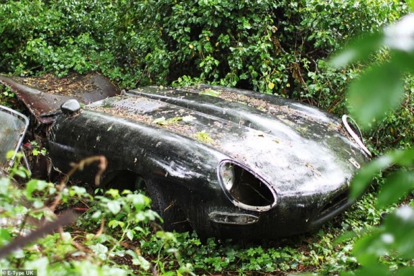 В лесных зарослях нашли Jaguar 1964 года