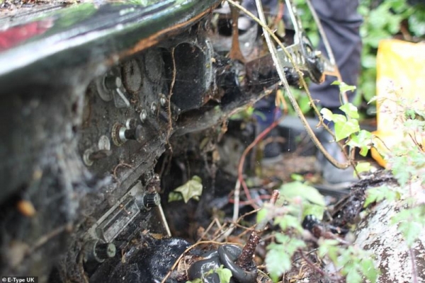 В лесных зарослях нашли Jaguar 1964 года