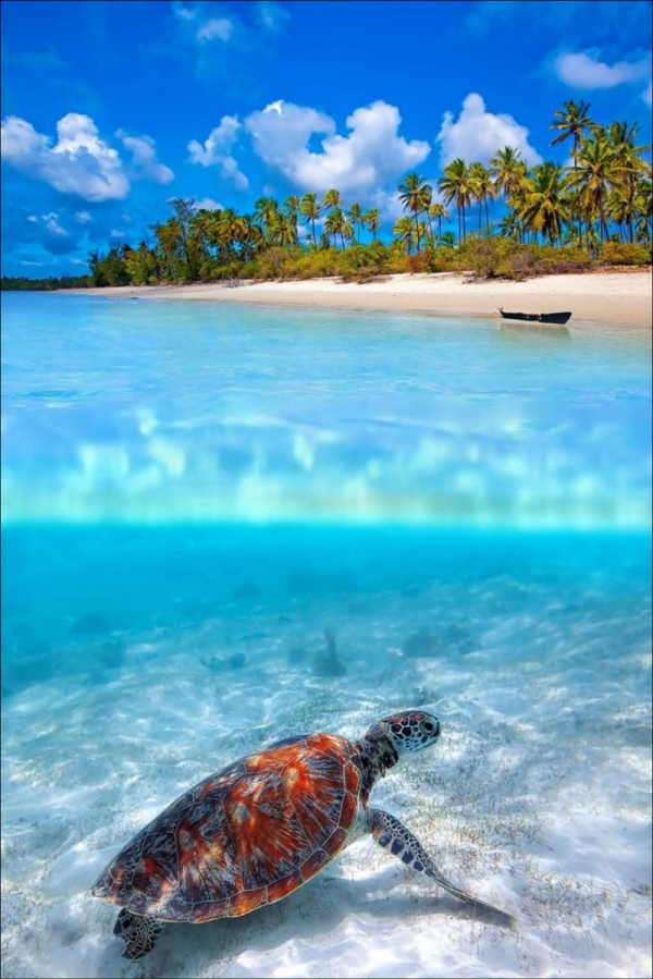 Красота фотографий вода-воздух