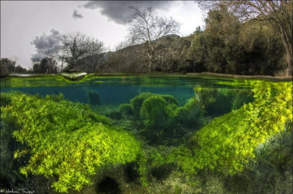Красота фотографий вода-воздух