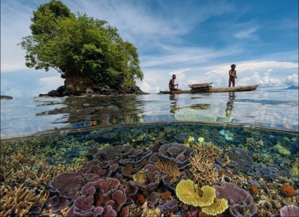 Красота фотографий вода-воздух