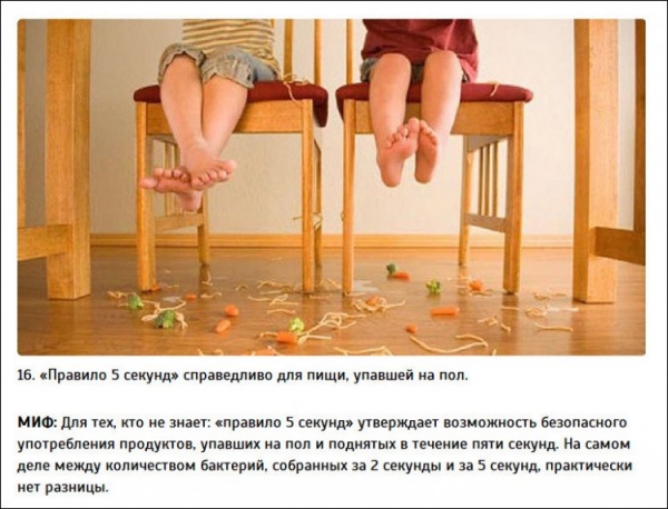 Интересные факты от Разрушителей легенд