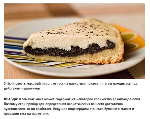 Интересные факты от Разрушителей легенд