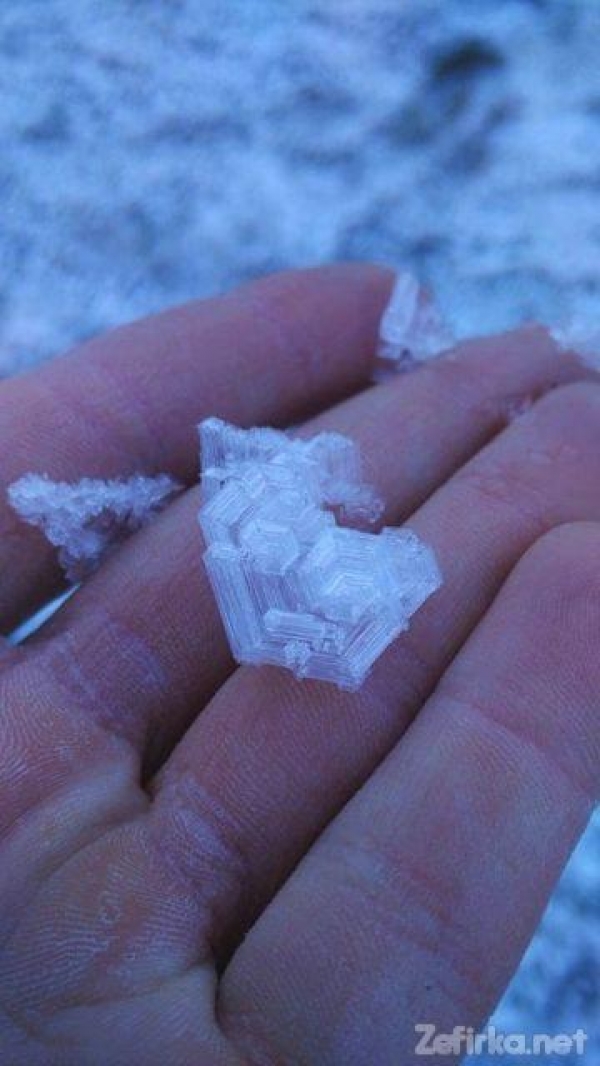 Невероятное рядом с нами