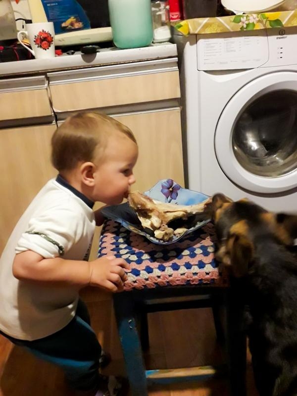 Голод не тетка...