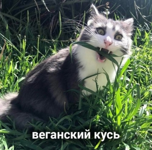 Оказывается и "Кусь" бывает разный