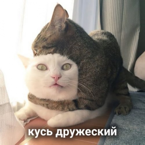Оказывается и "Кусь" бывает разный
