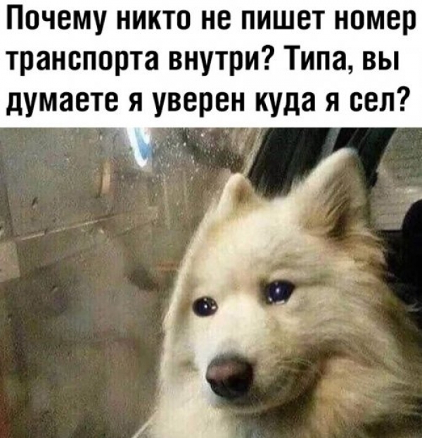 Прикольная подборка