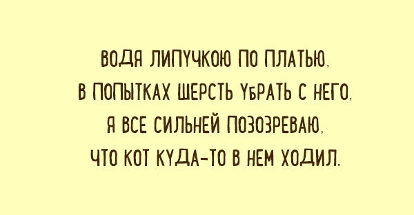 Правдивые картинки из жизни с ноткой сарказма