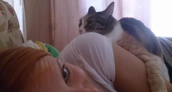 Прикольные картинки