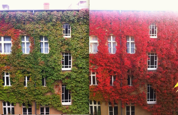 Лето VS Осень