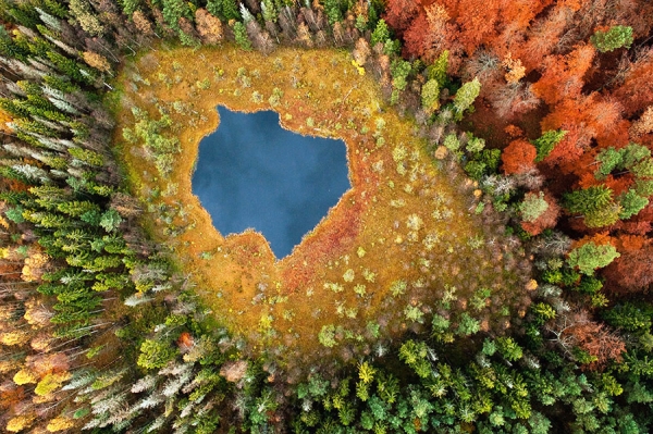 Лето VS Осень