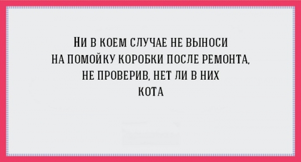 Удачные цитаты о ремонте