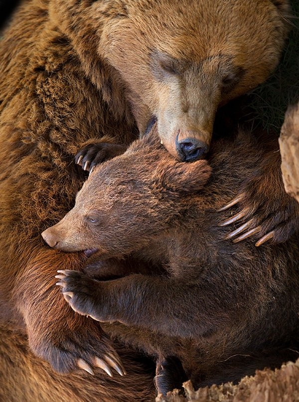 Мамы мимимишек