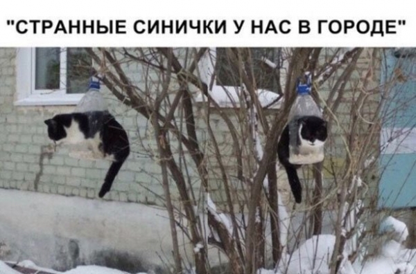 Немножко юмора накануне выходных
