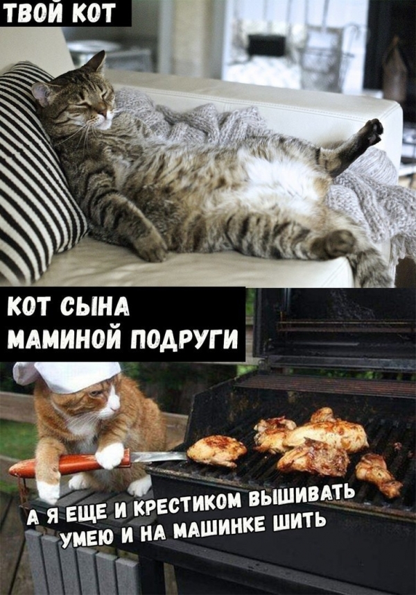 Такой идеальный и популярный - сын маминой подруги