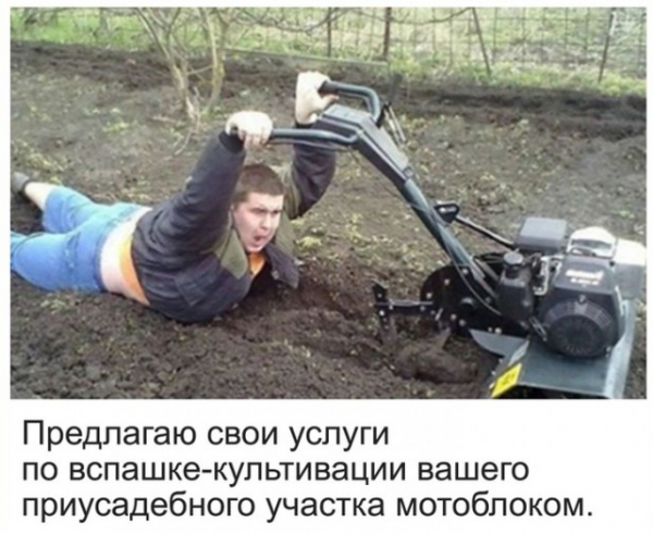Странные лоты на интернет-аукционах
