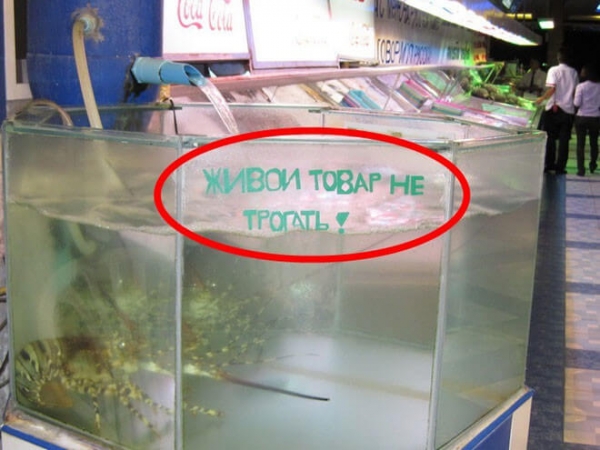 То, ради чего надо посетить Таиланд