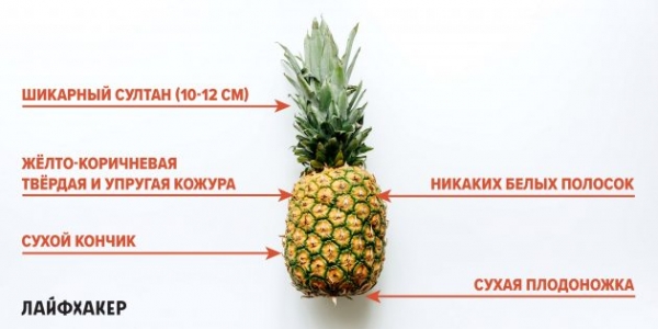 Как не ошибиться при выборе ананаса