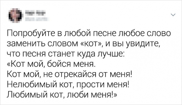 Пользователи Twitter поражают своими искрометными шутками