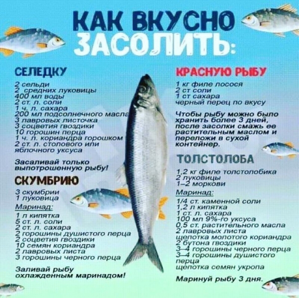Полезные шпаргалки хозяюшкам на кухню