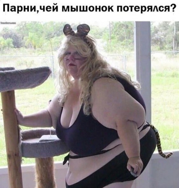 Прикольные картиносы