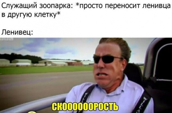 Прикольные картиносы