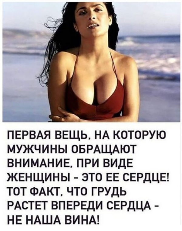 Прикольные картиносы