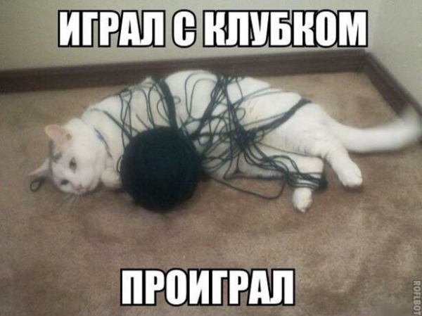 Прикольные картиносы