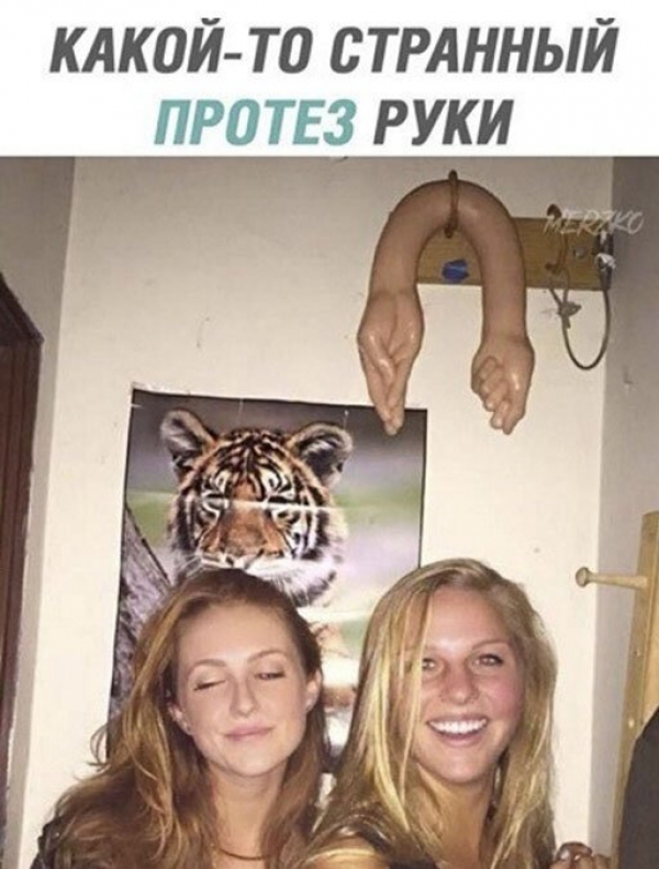 Прикольные картиносы