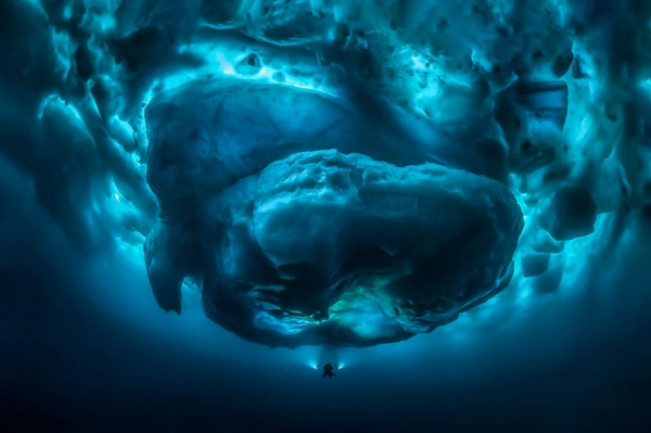 Победители конкурса фотографии Ocean Art 2019