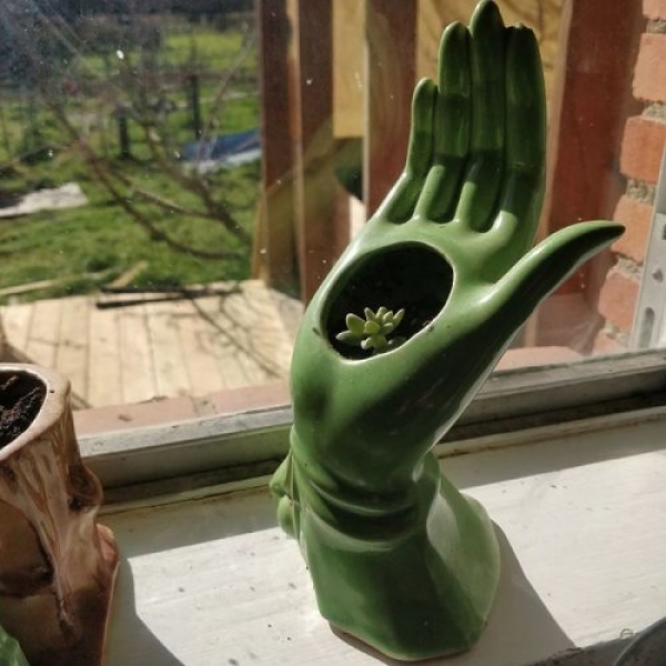 Прикольные находки из секонда