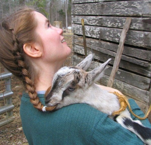 Забавные и милые