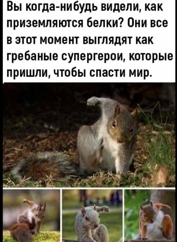 Смешная подборка с просторов инета