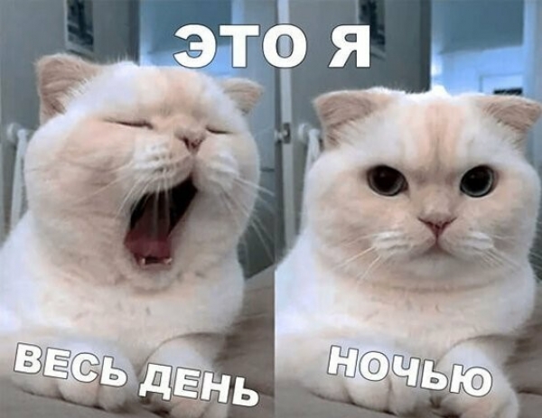 Смешная подборка с просторов инета