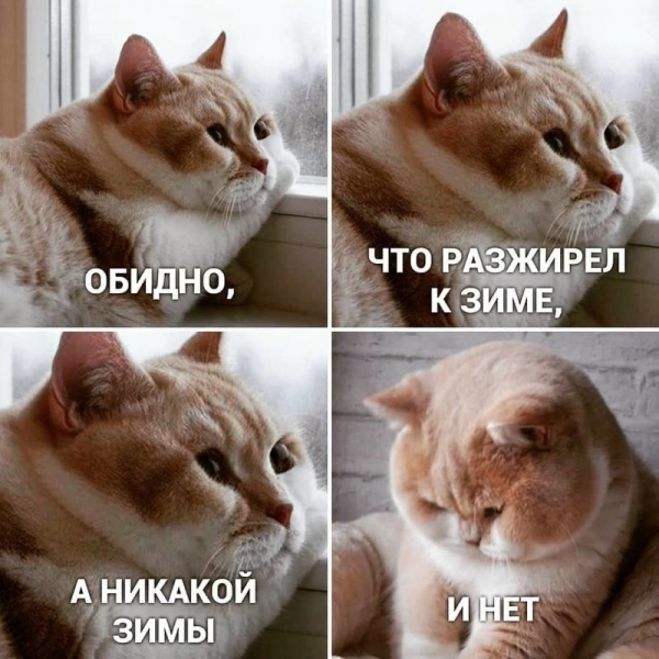 Смешная подборка с просторов инета