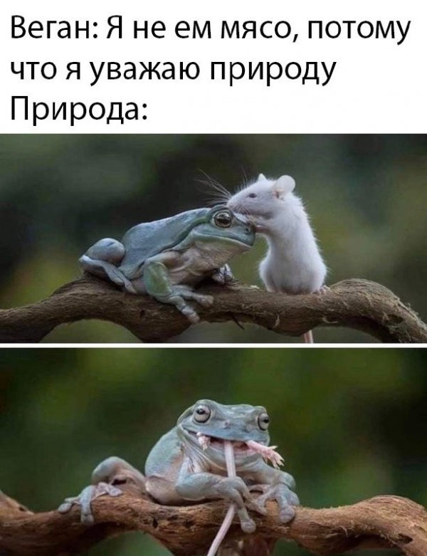 Смешная подборка с просторов интернета