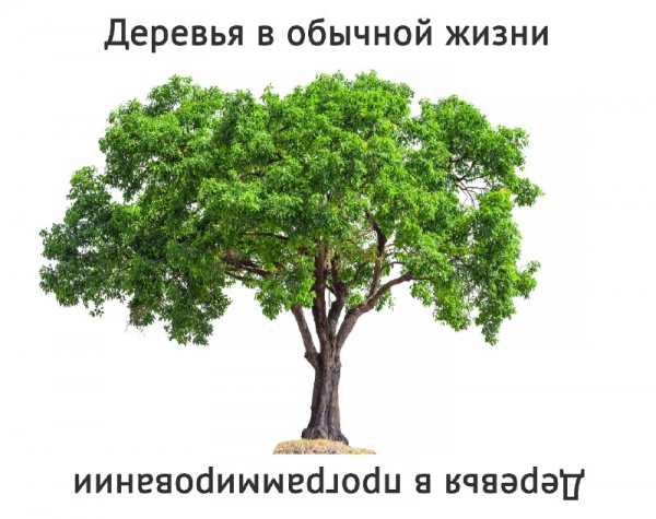 Смешная подборка с просторов интернета