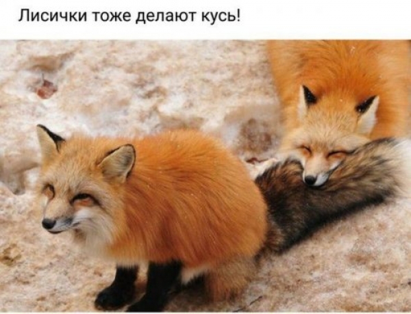 Картинки для настроения