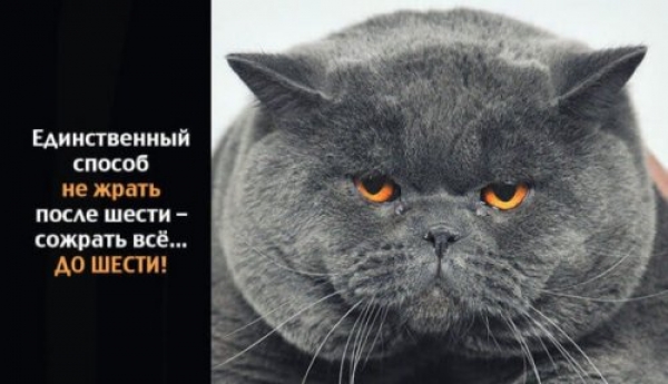 Картинки для настроения