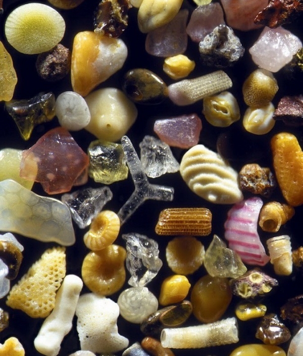 Красота пляжей под микроскопом